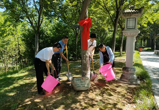 葉家樂一家給櫸樹松土、澆水_副本.jpg