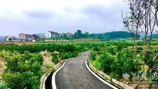 四望鎮(zhèn)高垴村2.jpg