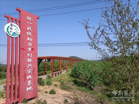童寨藍(lán)莓基地統(tǒng)一戰(zhàn)線基地.jpg.jpg