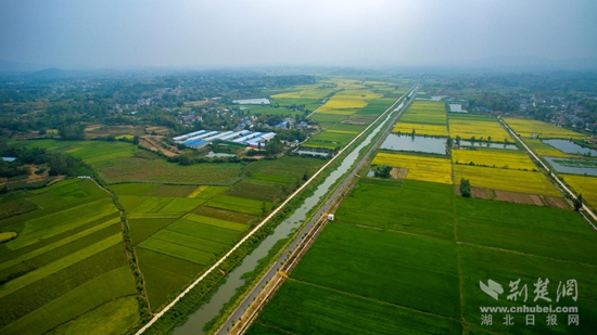 汪崗鎮(zhèn)陳廟河流域高標(biāo)準農(nóng)田示范區(qū).jpg
