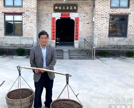 何道關(guān)與自己種的油茶果。黃錚 攝_副本.jpg.jpg