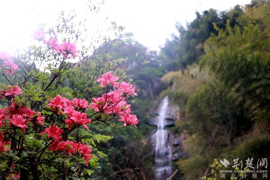 黃龍山頂，風(fēng)景如畫 黃錚 攝_副本.jpg.jpg